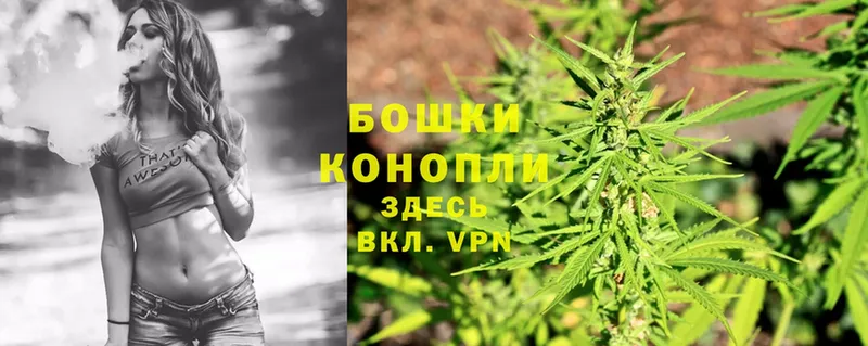 купить наркоту  omg ССЫЛКА  Бошки марихуана LSD WEED  Болотное 